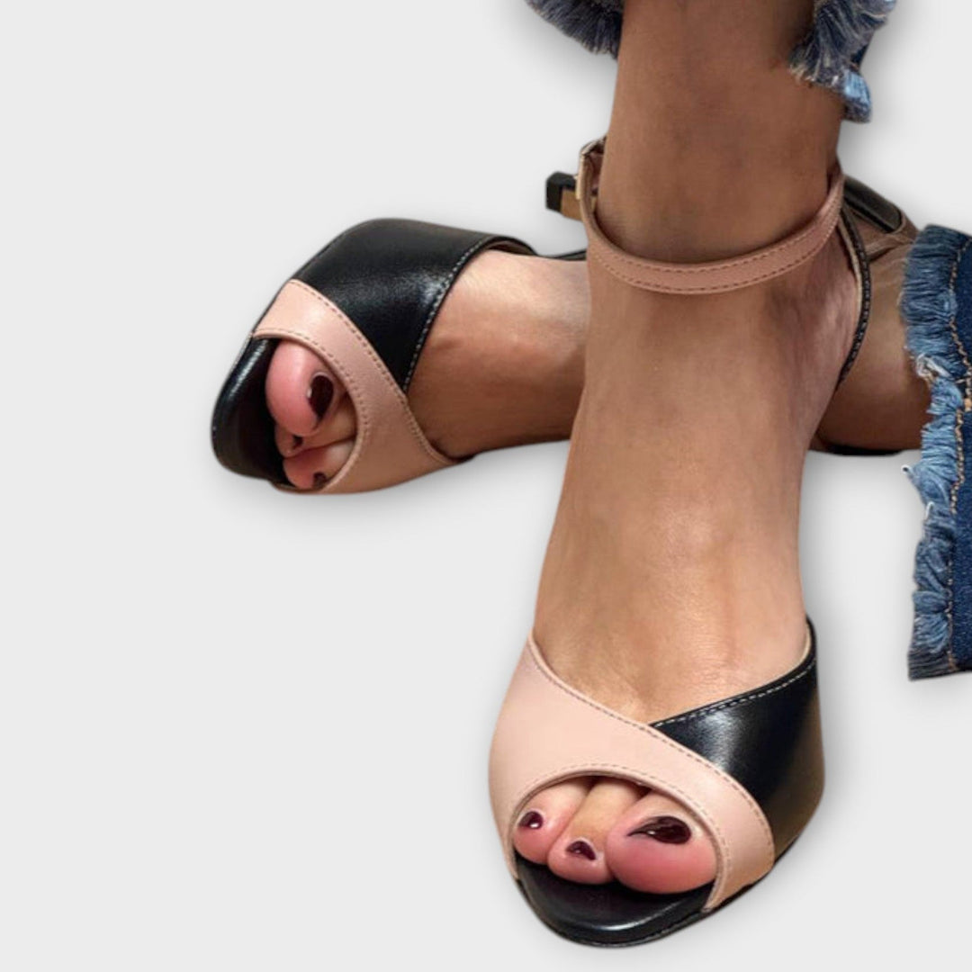 Rožinės Elegancijos Dviejų Spalvų