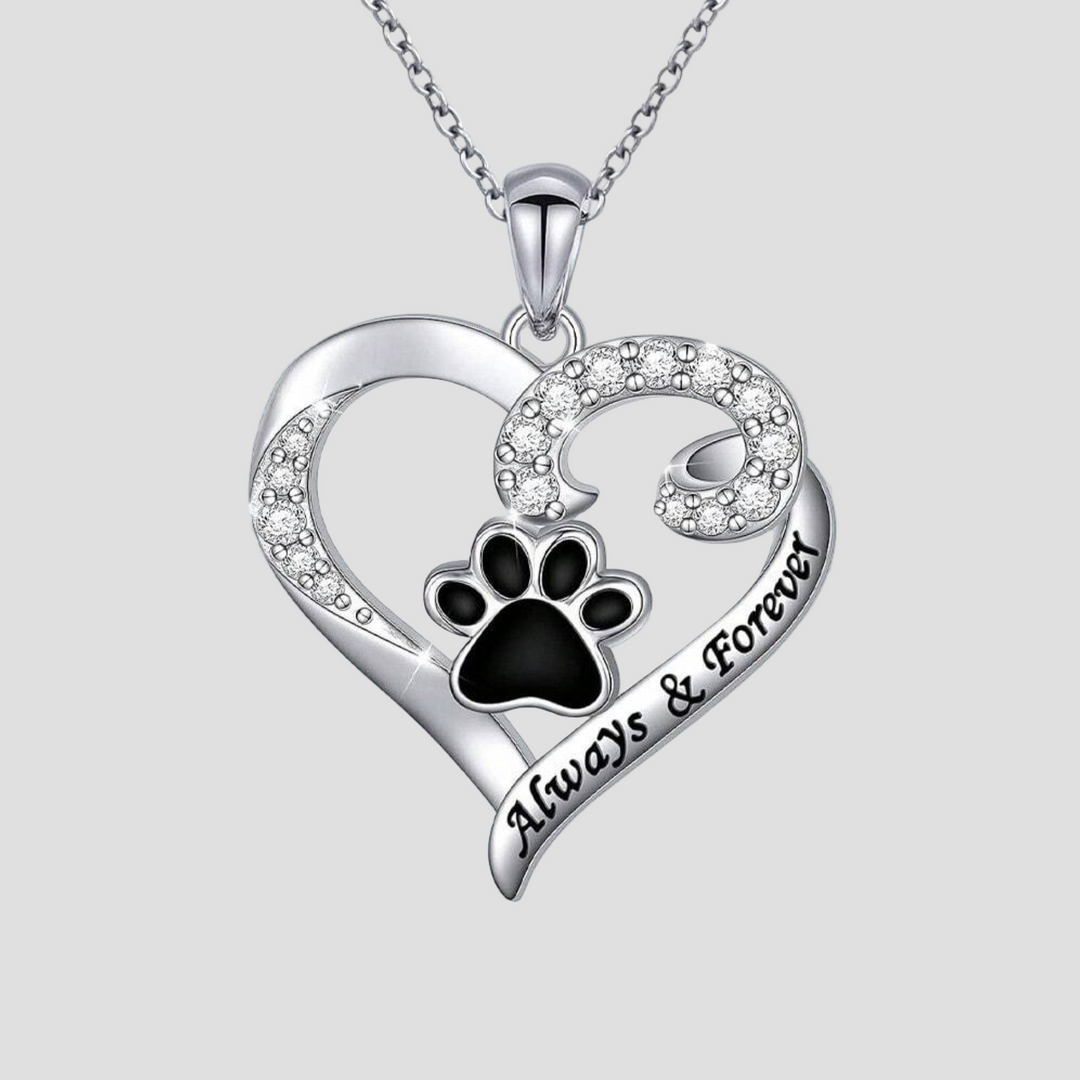 Thor - Pakabukas su šuns koja