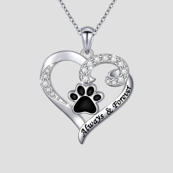 Thor - Pakabukas su šuns koja